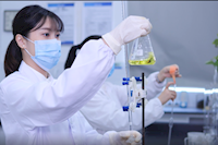 巾幗不讓須眉，她們獲省級巾幗文明崗榮譽